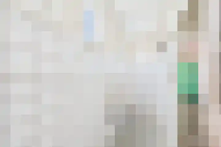 Rapenburg 30 Vogelwaarde thumbnail 9