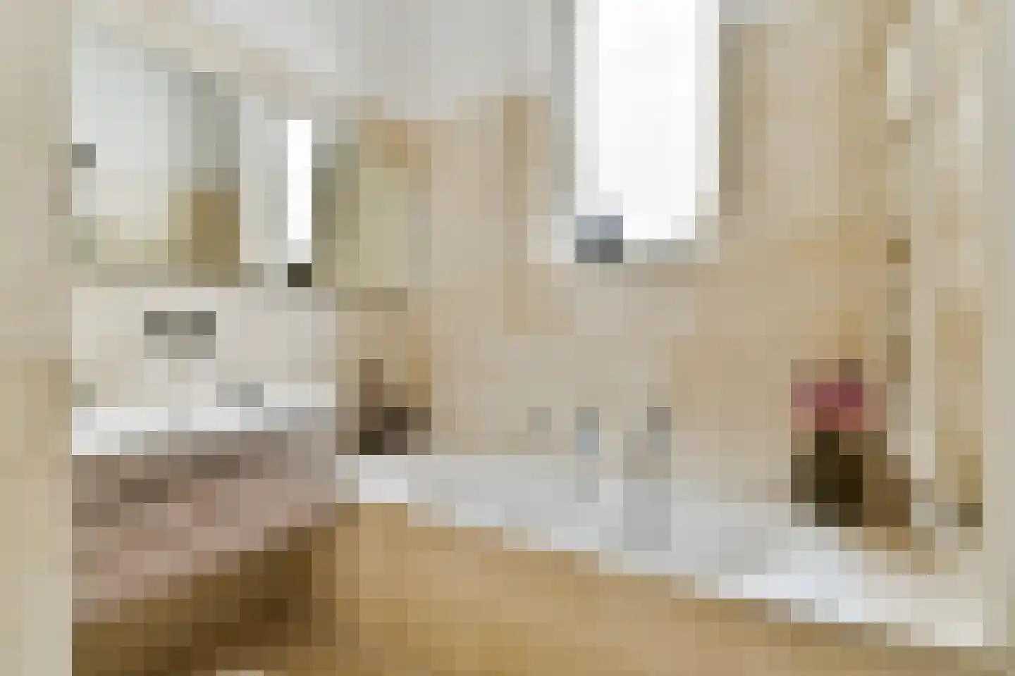 Rapenburg 35 F Amsterdam thumbnail 16