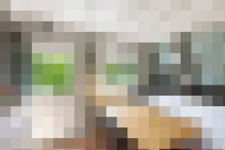 Rapenburg 39 Neede thumbnail 14