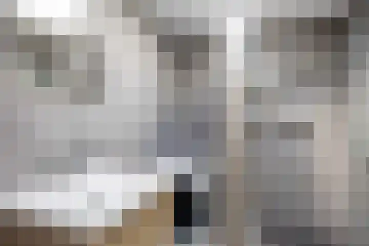 Rapenburg 39 Neede thumbnail 18