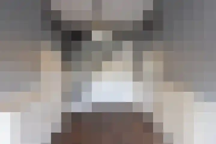 Rapenburg 39 Neede thumbnail 21