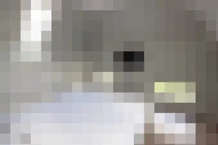 Rapenburg 39 Neede thumbnail 23
