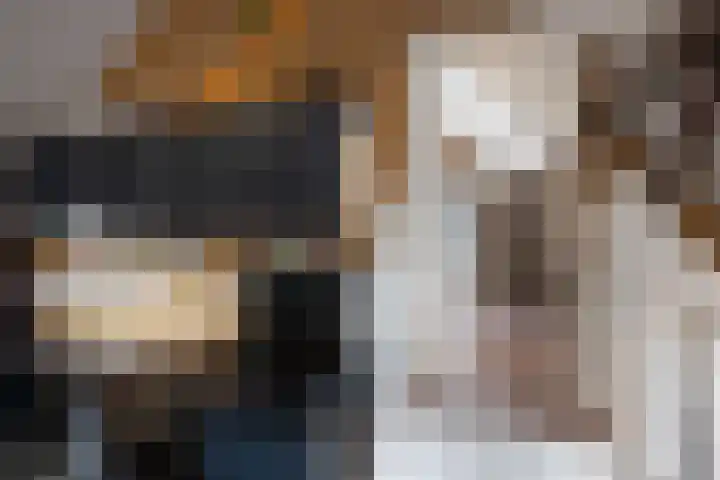 Rapenburg 39 Neede thumbnail 27