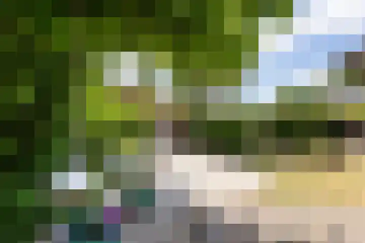 Rapenburg 39 Neede thumbnail 36
