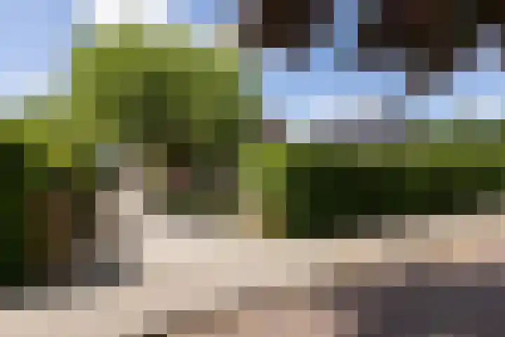 Rapenburg 39 Neede thumbnail 45