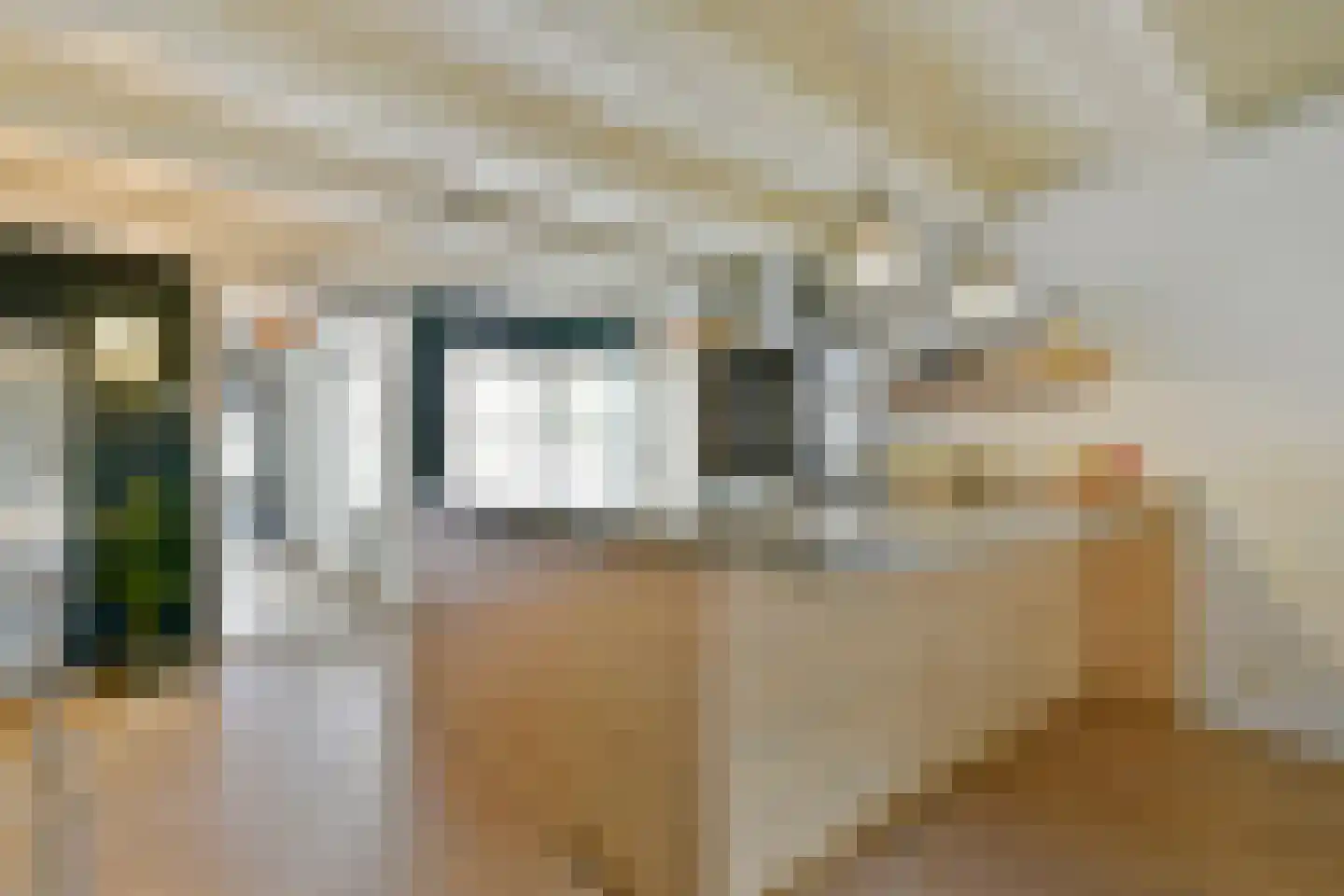 Rapenburg 41 3 Amsterdam thumbnail 10