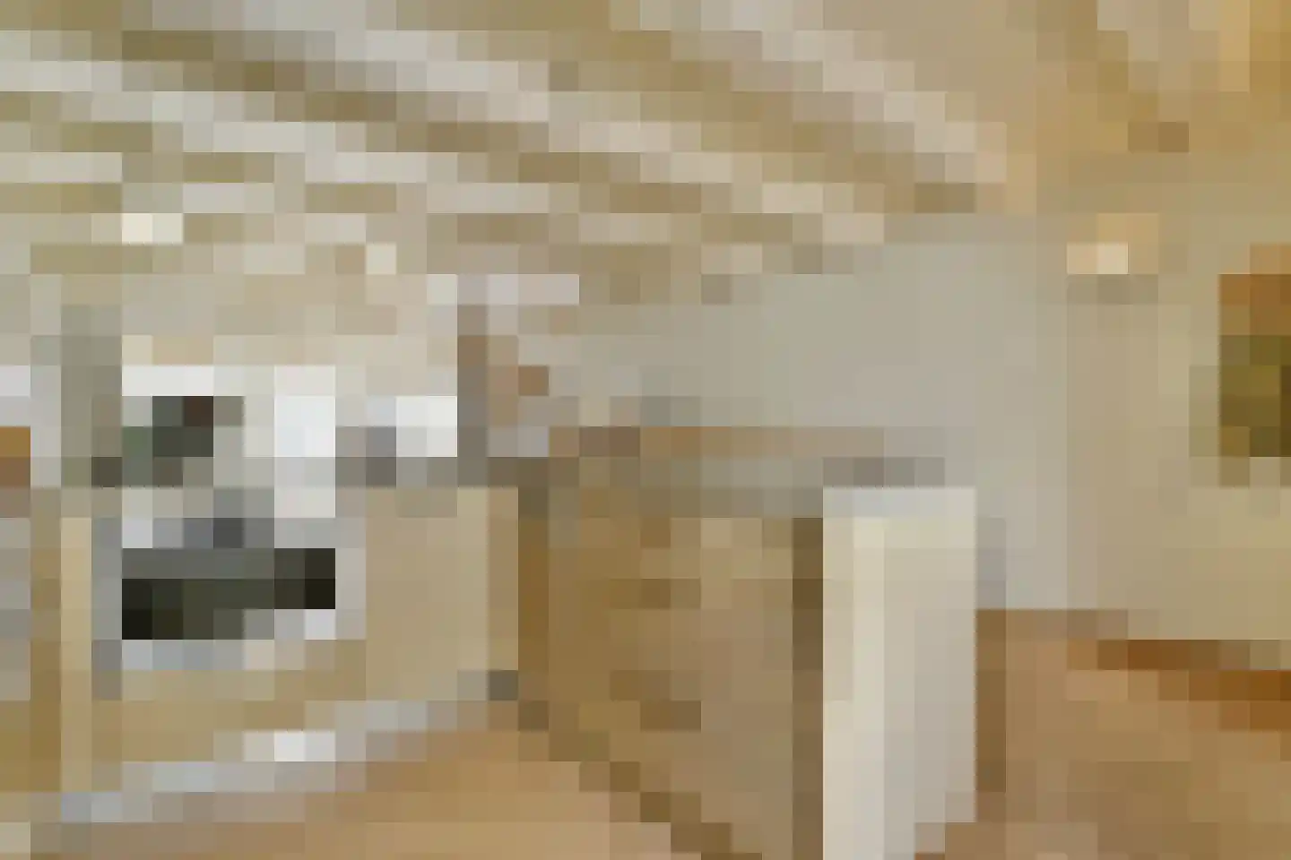 Rapenburg 41 3 Amsterdam thumbnail 11