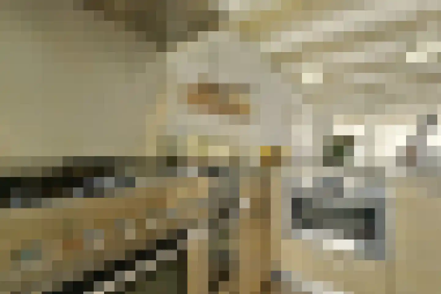 Rapenburg 41 3 Amsterdam thumbnail 12