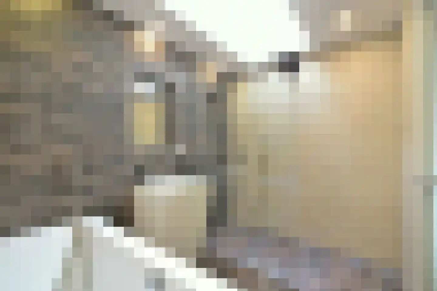 Rapenburg 41 3 Amsterdam thumbnail 16