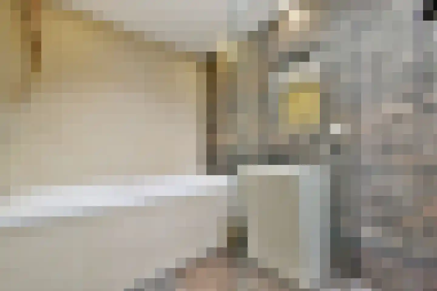 Rapenburg 41 3 Amsterdam thumbnail 17