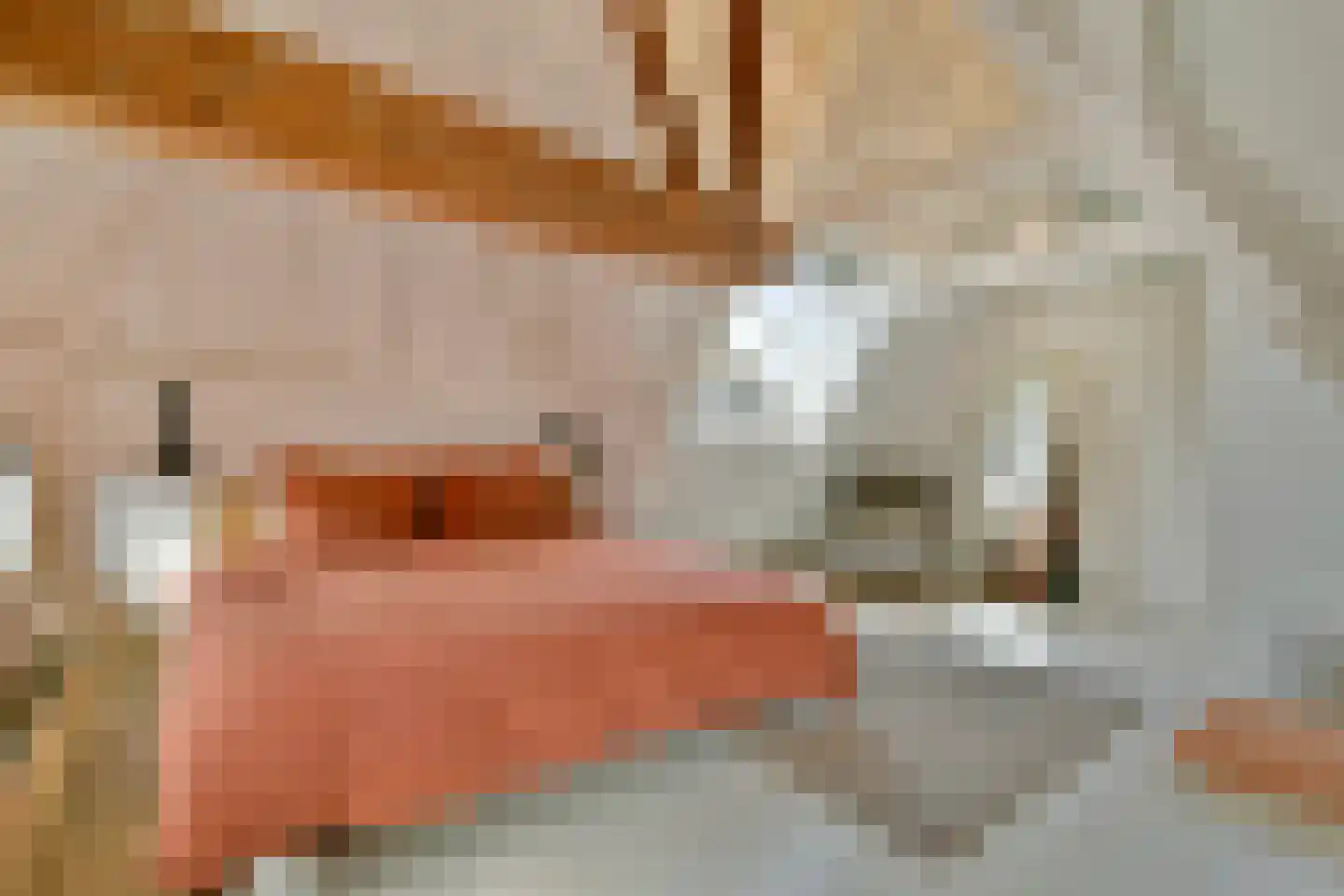 Rapenburg 41 3 Amsterdam thumbnail 20