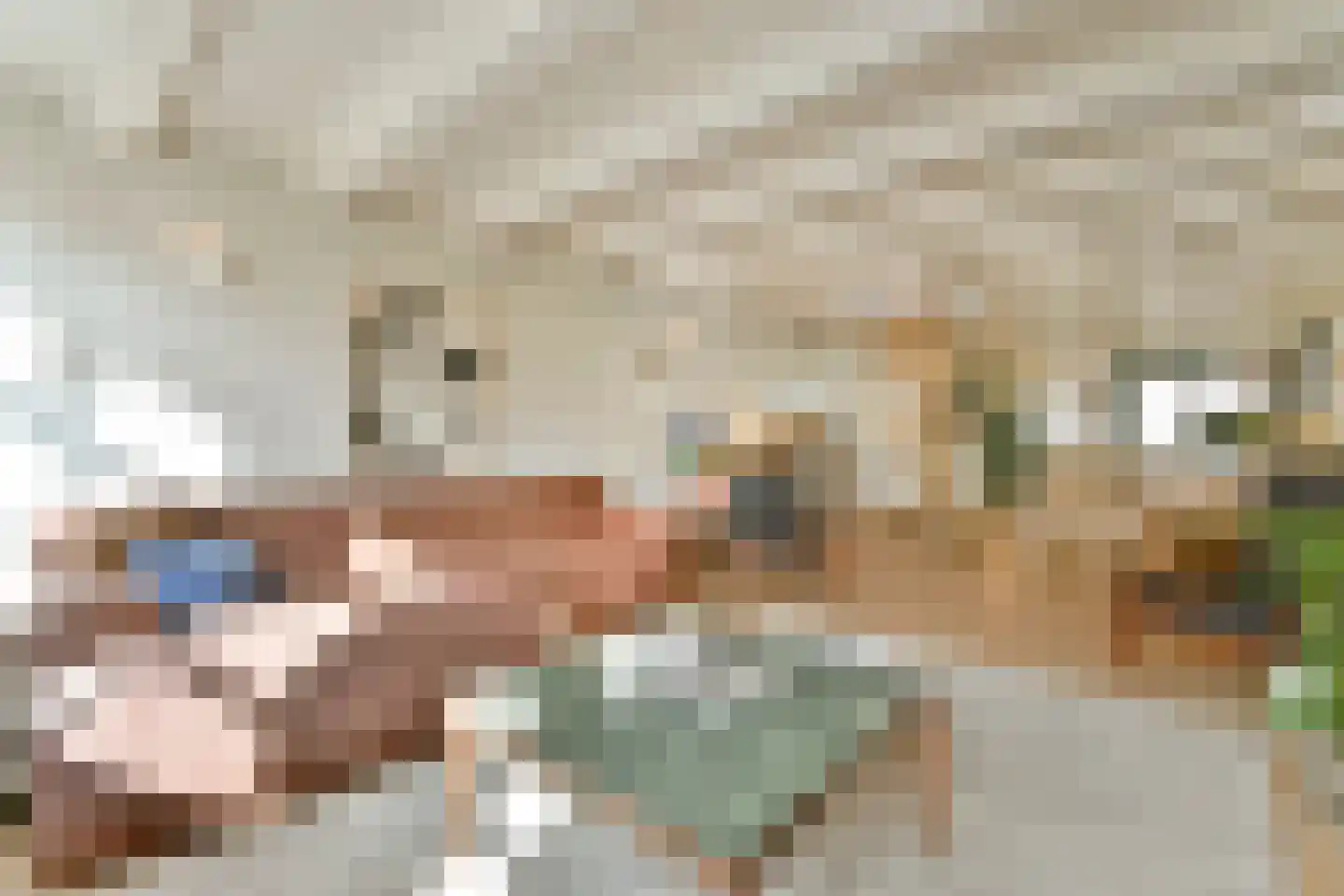 Rapenburg 41 3 Amsterdam thumbnail 6