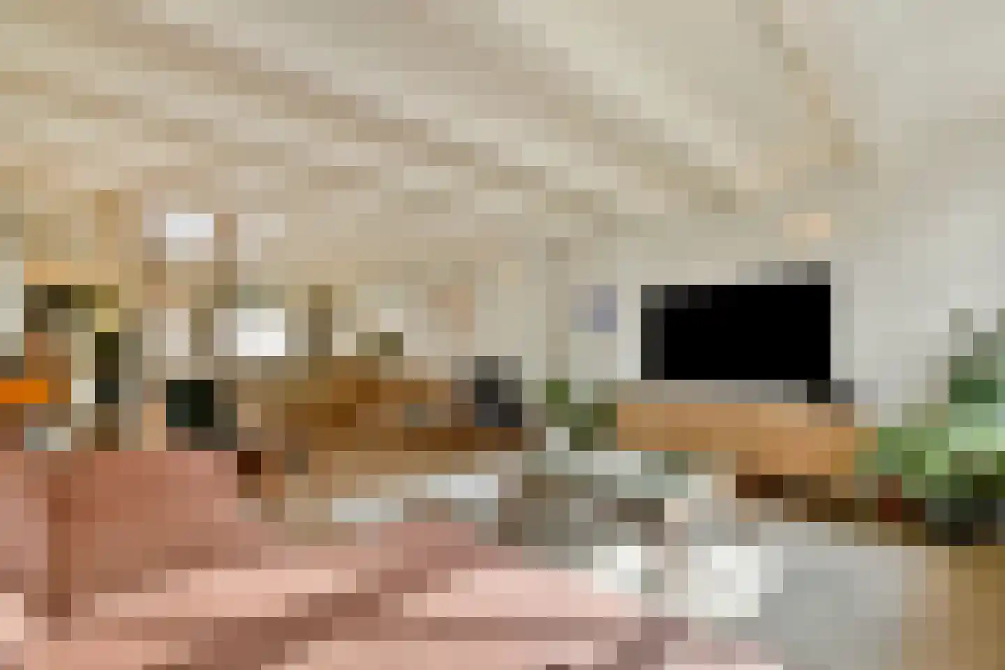 Rapenburg 41 3 Amsterdam thumbnail 7