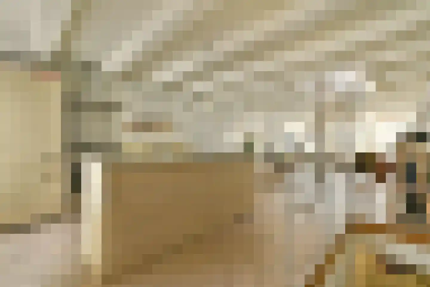 Rapenburg 41 3 Amsterdam thumbnail 9