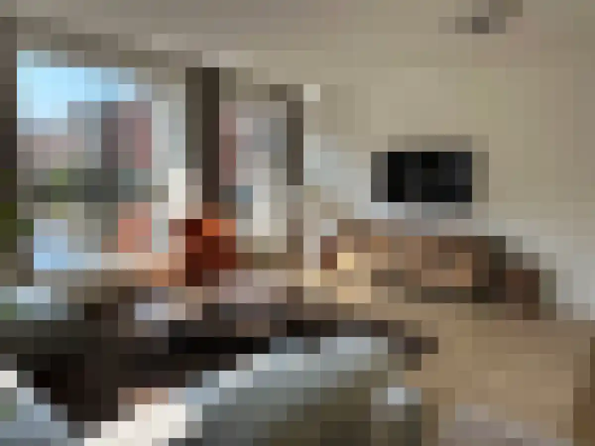 Rapenburg 44 H Amsterdam thumbnail 6