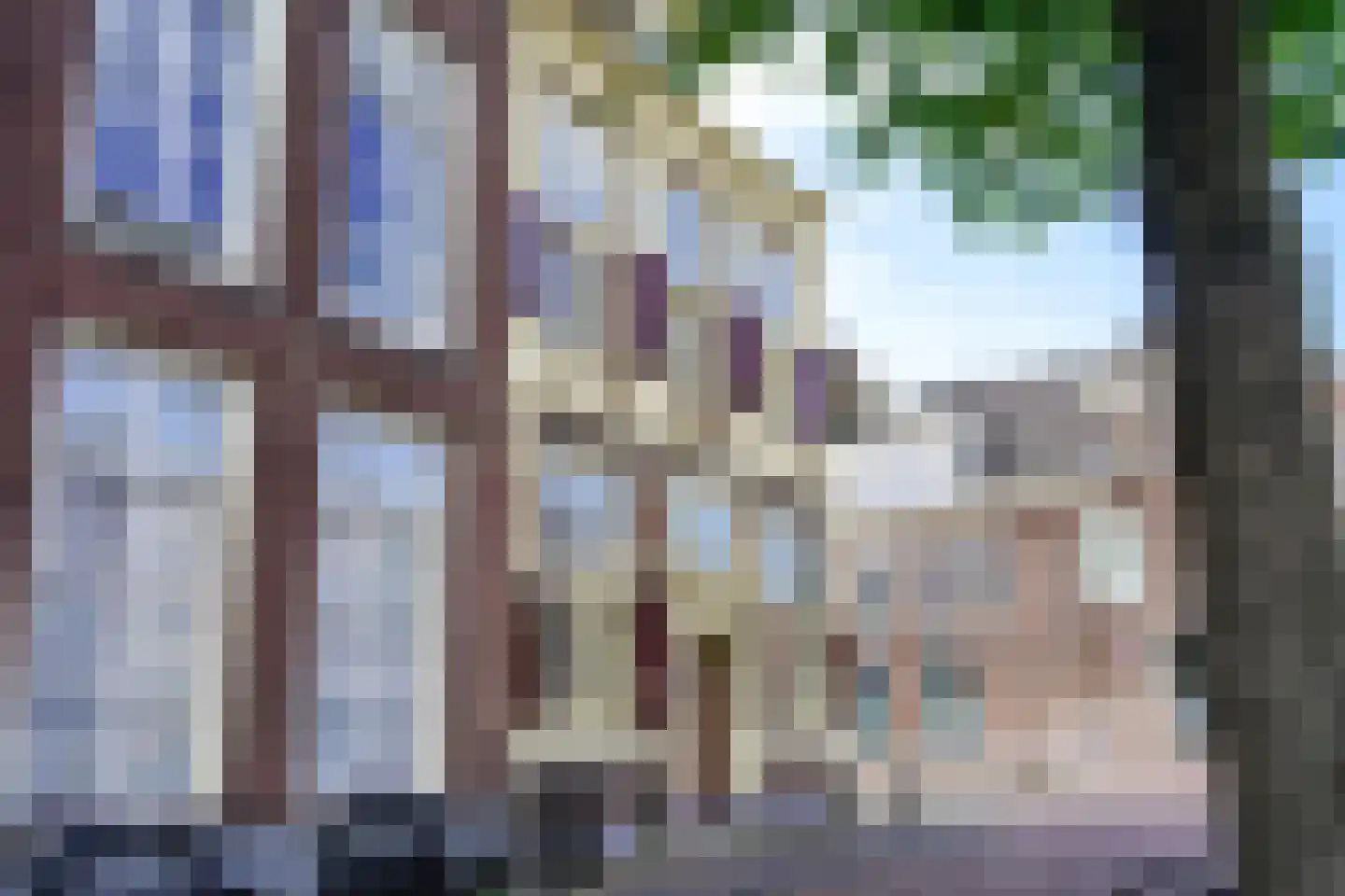 Rapenburg 45 Leiden thumbnail 111