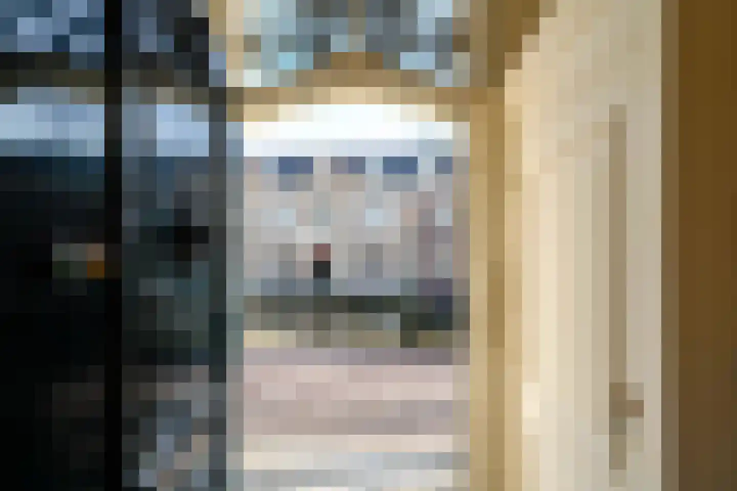 Rapenburg 45 Leiden thumbnail 12