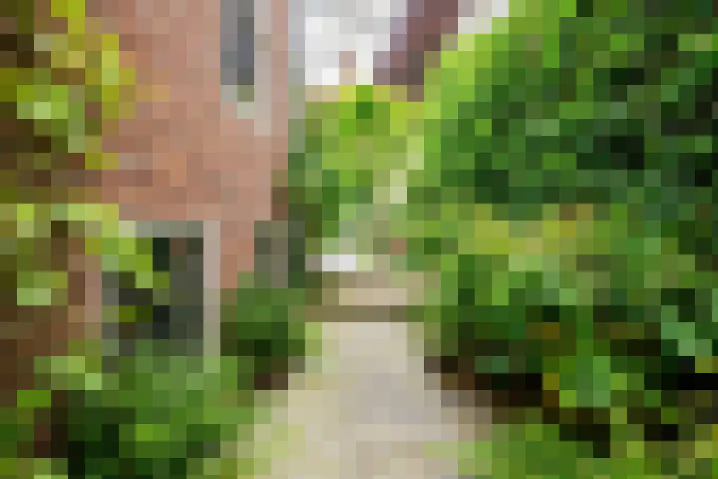 Rapenburg 45 Leiden thumbnail 30