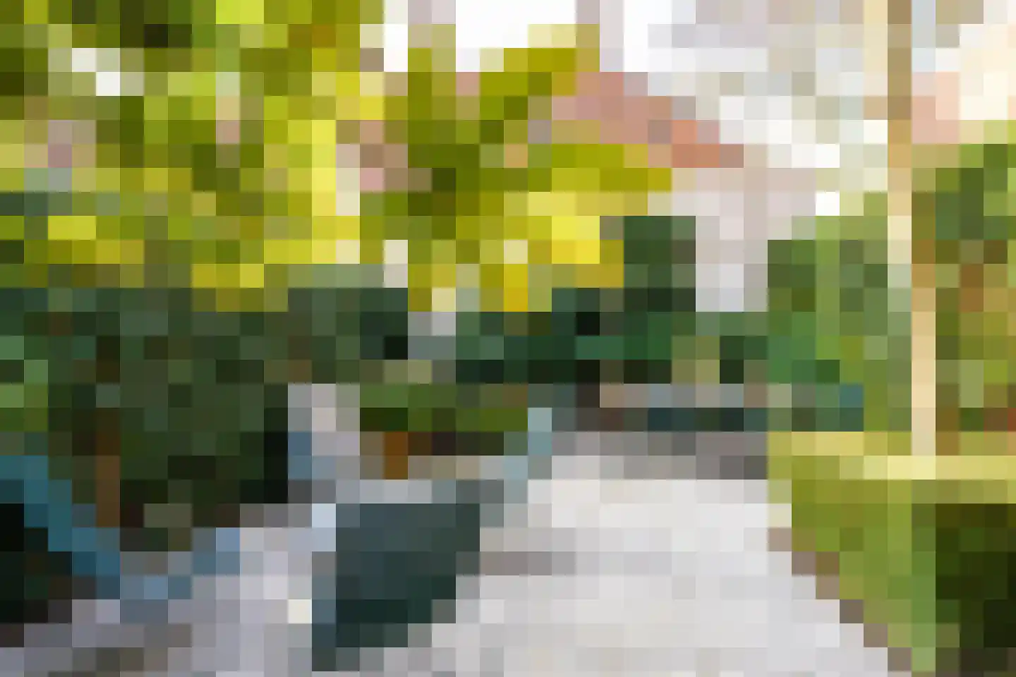 Rapenburg 45 Leiden thumbnail 34