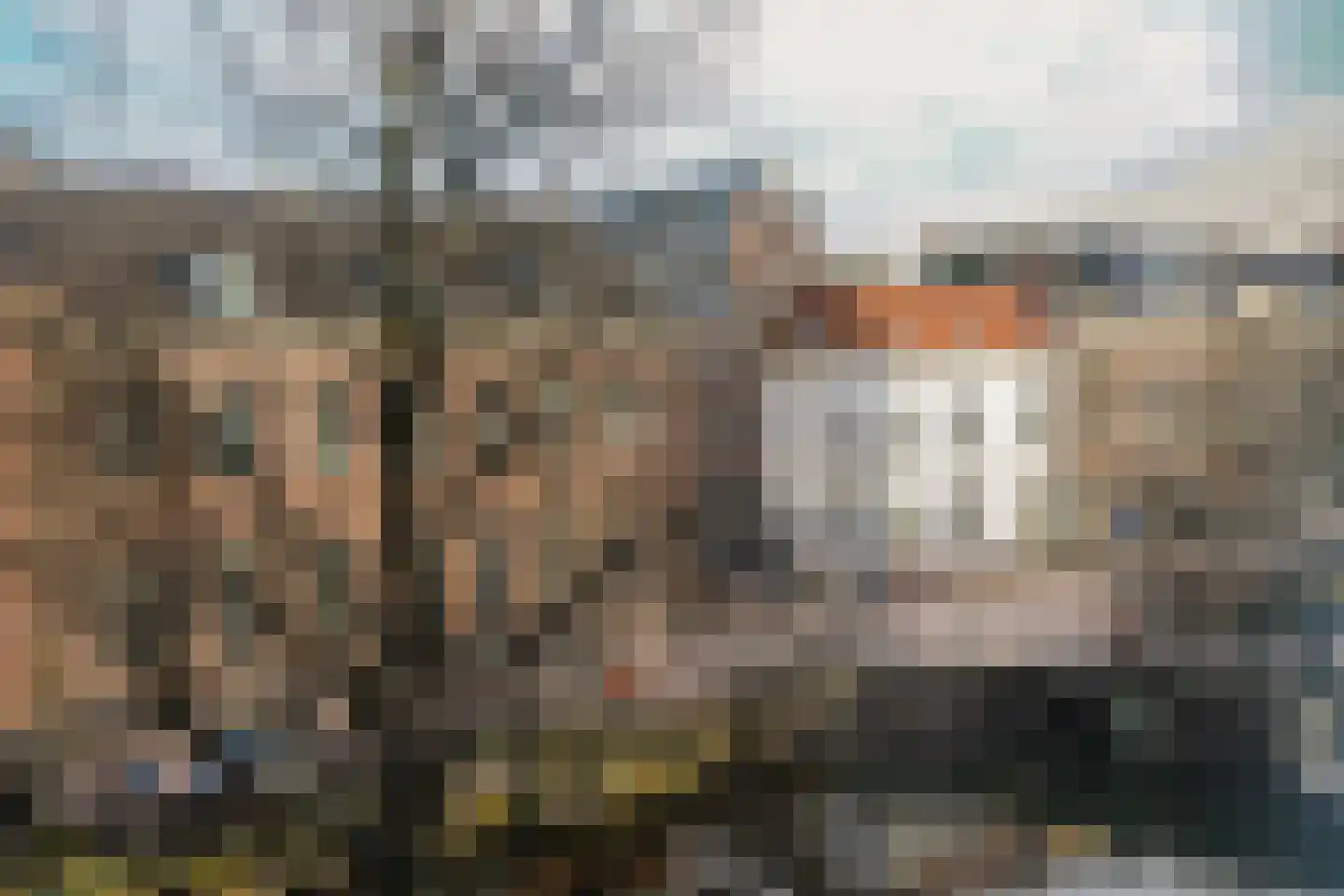 Rapenburg 45 Leiden thumbnail 56