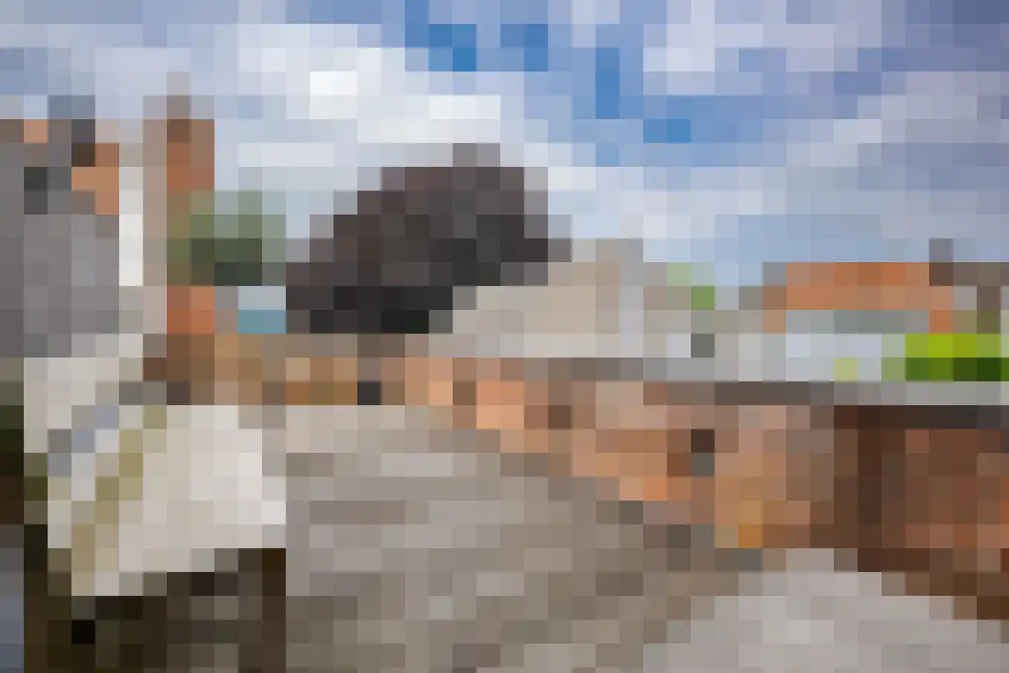 Rapenburg 45 Leiden thumbnail 64
