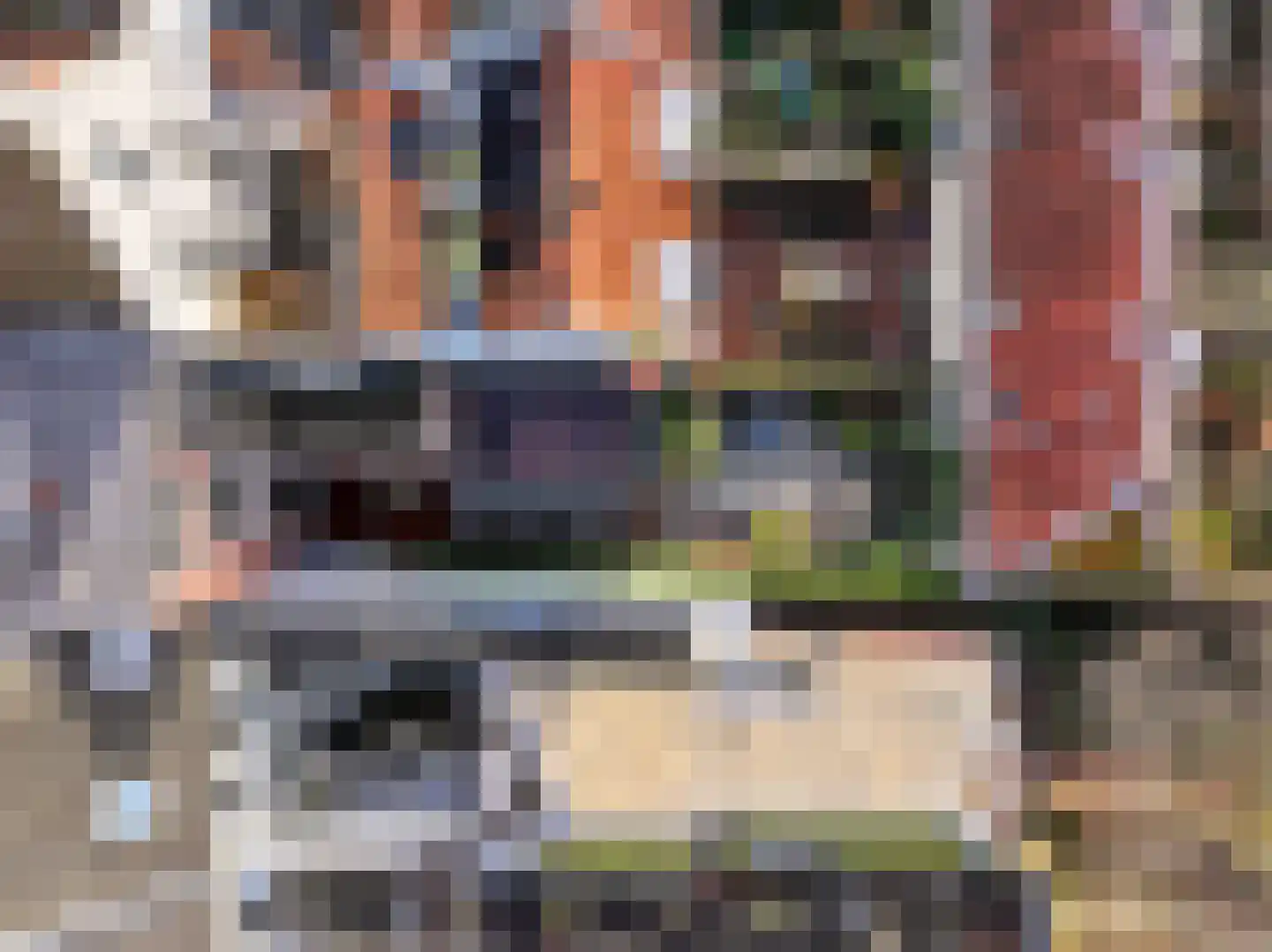 Rapenburg 45 Leiden thumbnail 99