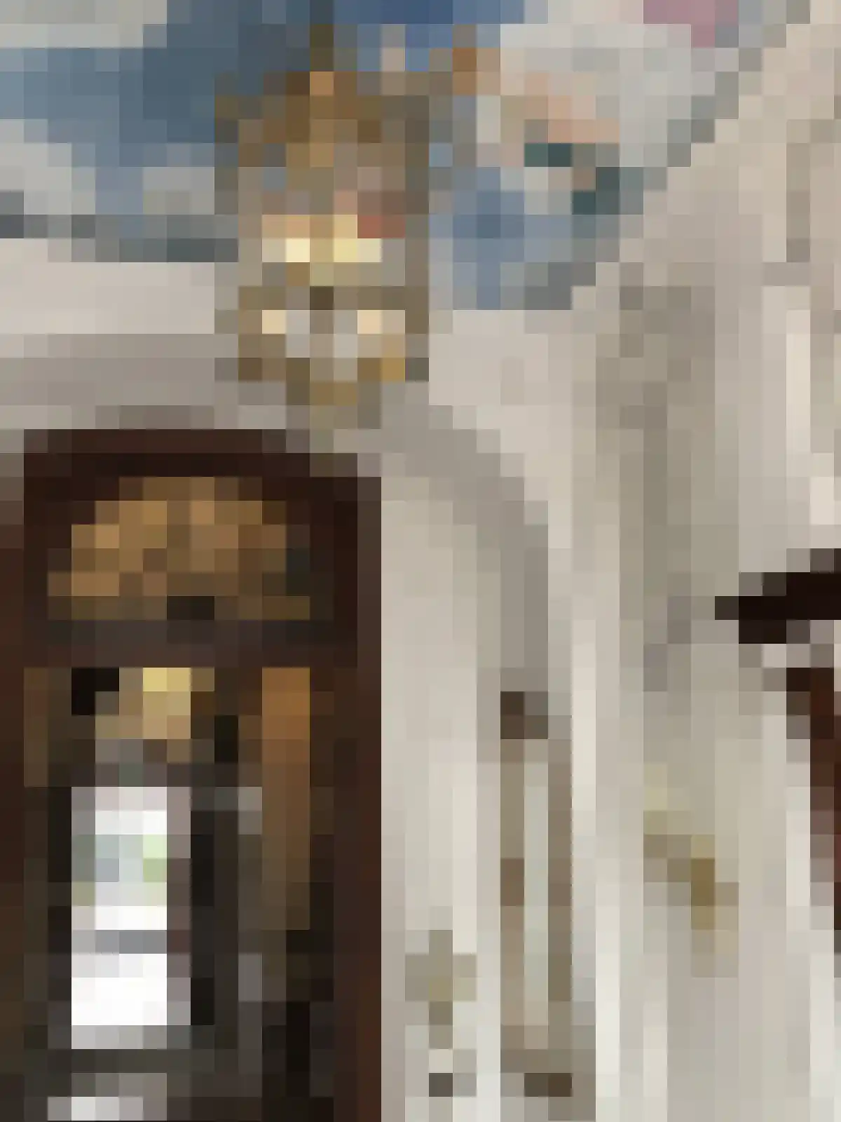 Rapenburg 6 Leiden thumbnail 5