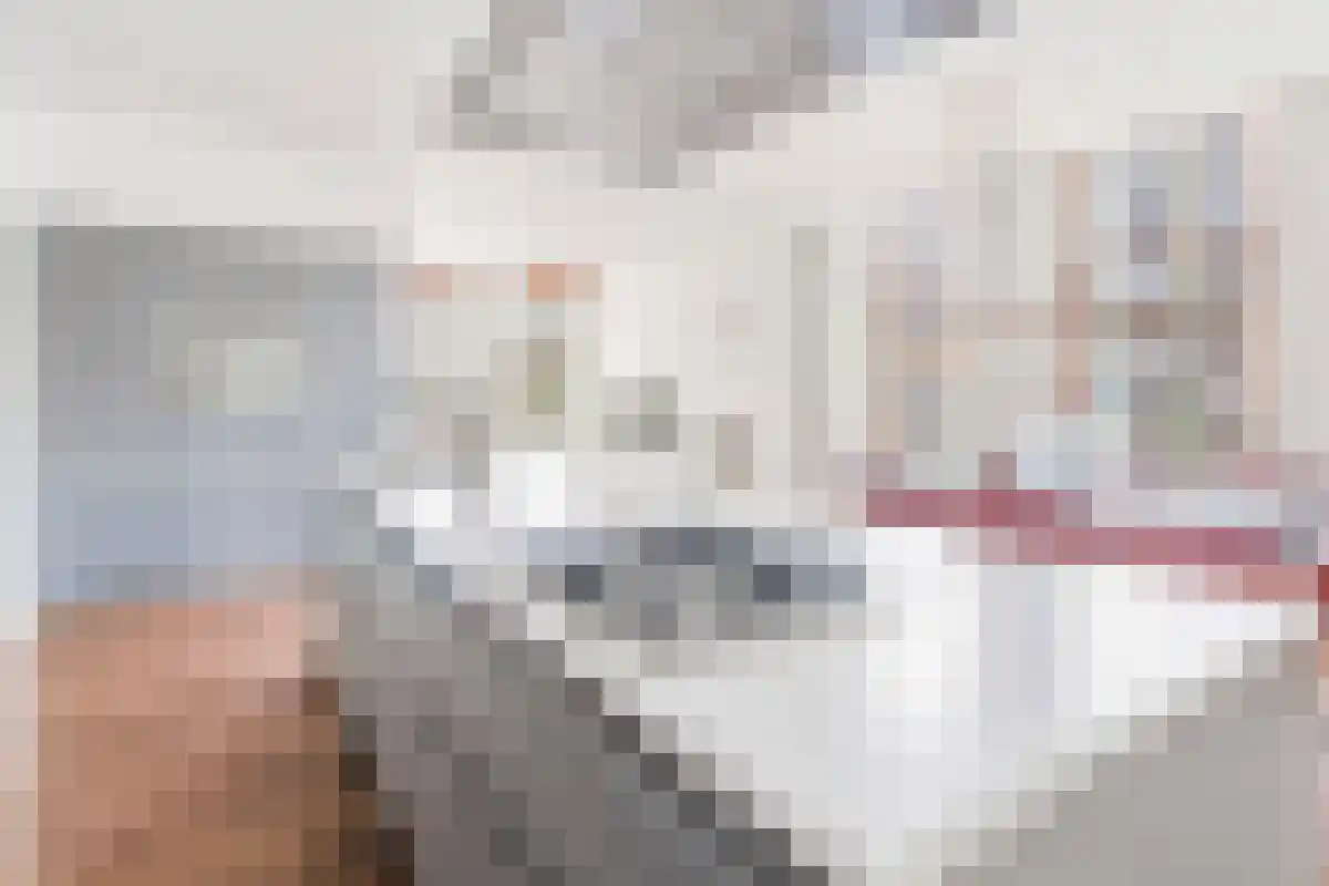 Rapenburg 66 Amsterdam thumbnail 4