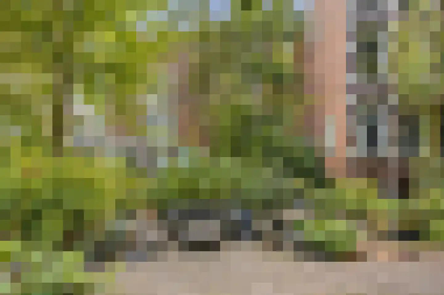 Rapenburg 70 Amsterdam thumbnail 33