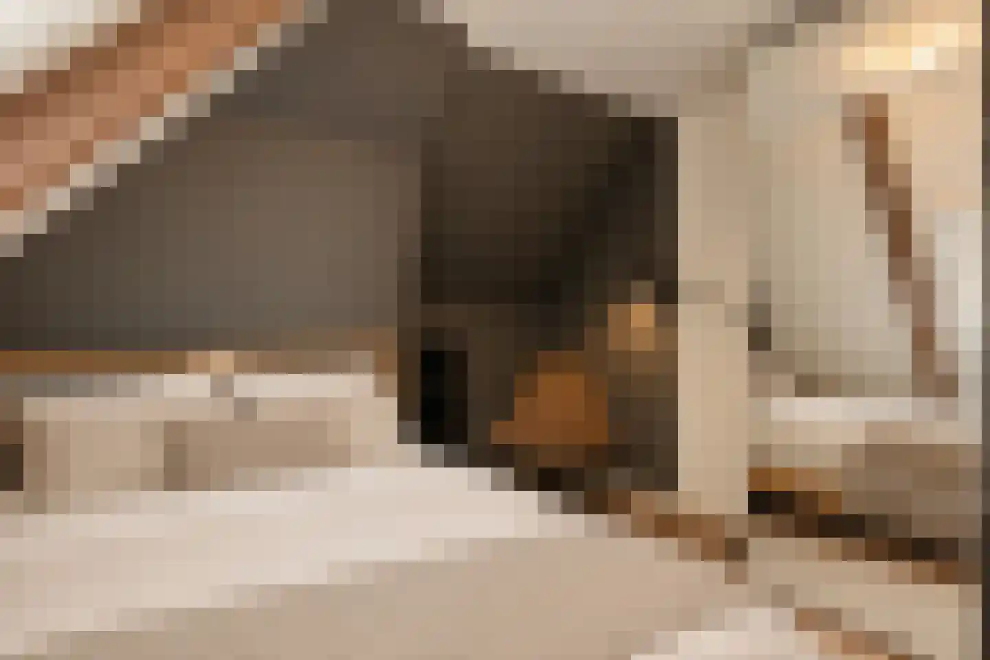 Rapenburg 80 Amsterdam thumbnail 14