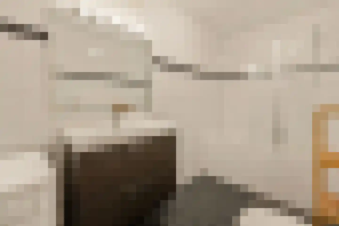Rapenburg 80 Amsterdam thumbnail 5