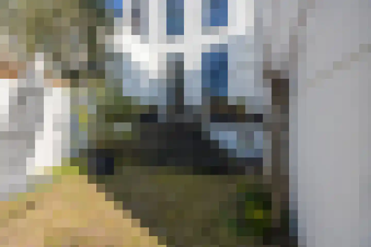 Rapenburg 83 A Leiden thumbnail 27