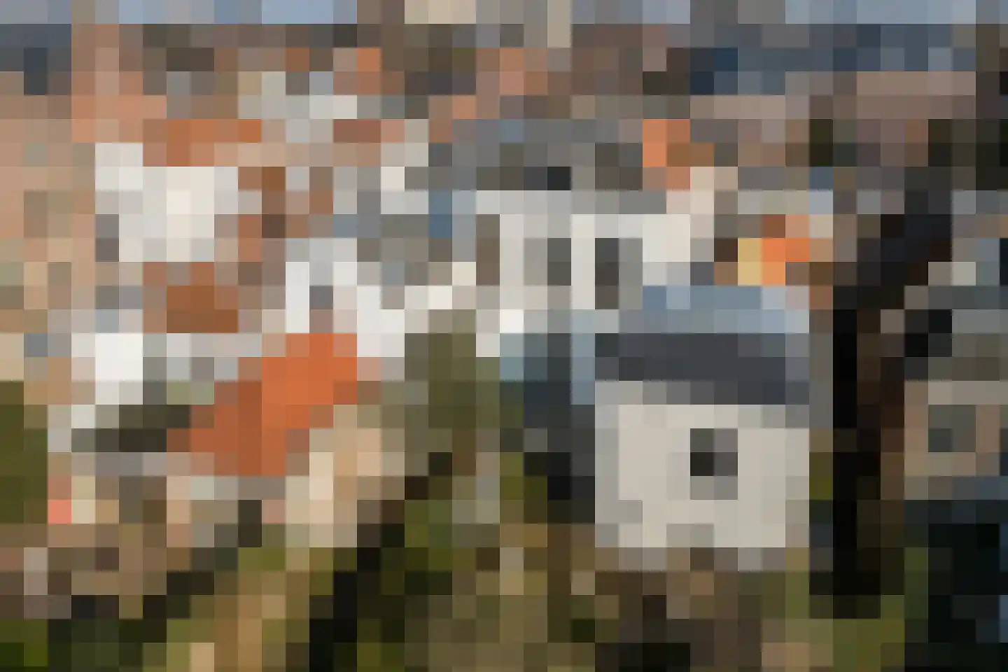Rapenburg 83 A Leiden thumbnail 38