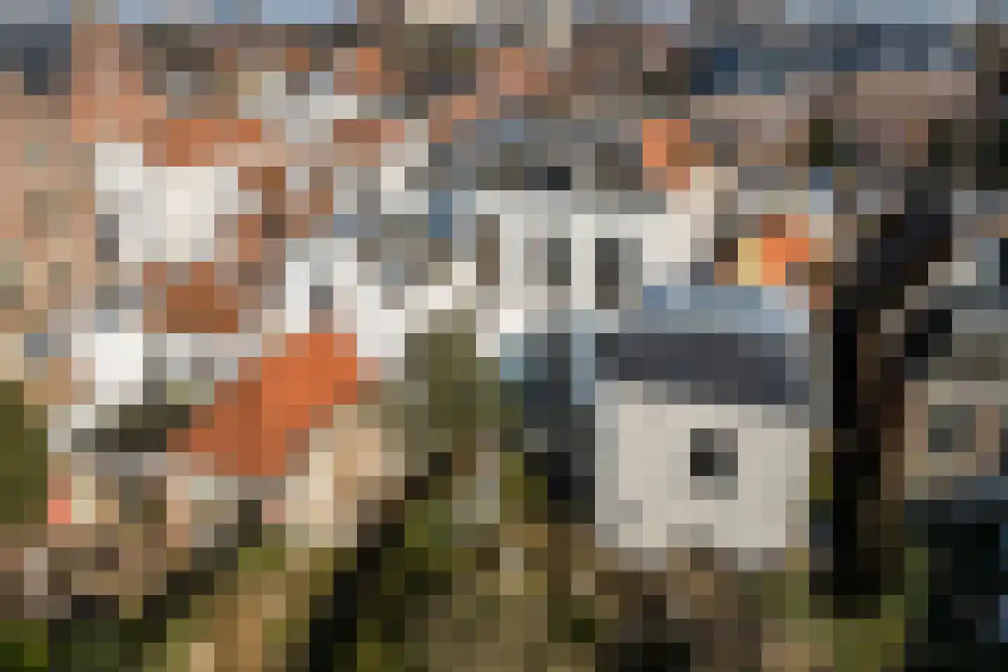 Rapenburg 83 A Leiden thumbnail 38