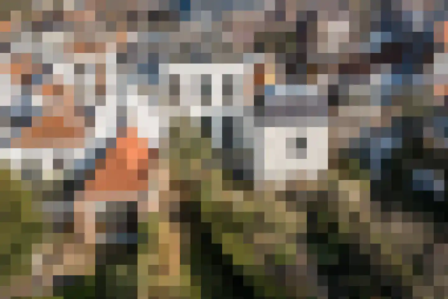 Rapenburg 83 A Leiden thumbnail 39