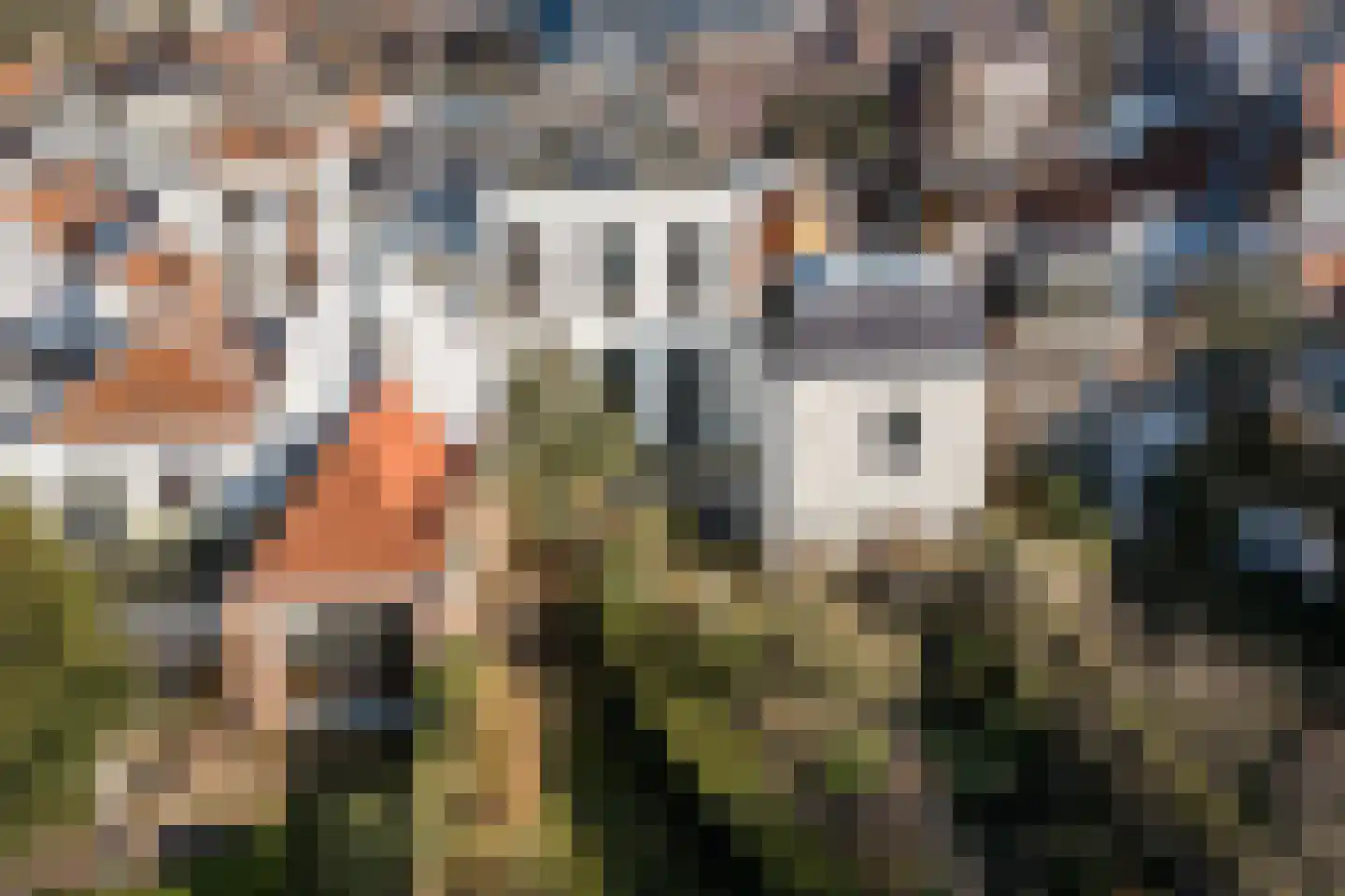 Rapenburg 83 A Leiden thumbnail 39