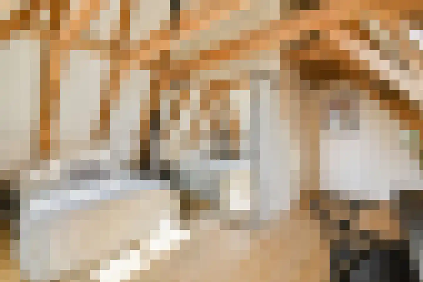 Rapenburg 95 3 Amsterdam thumbnail 16