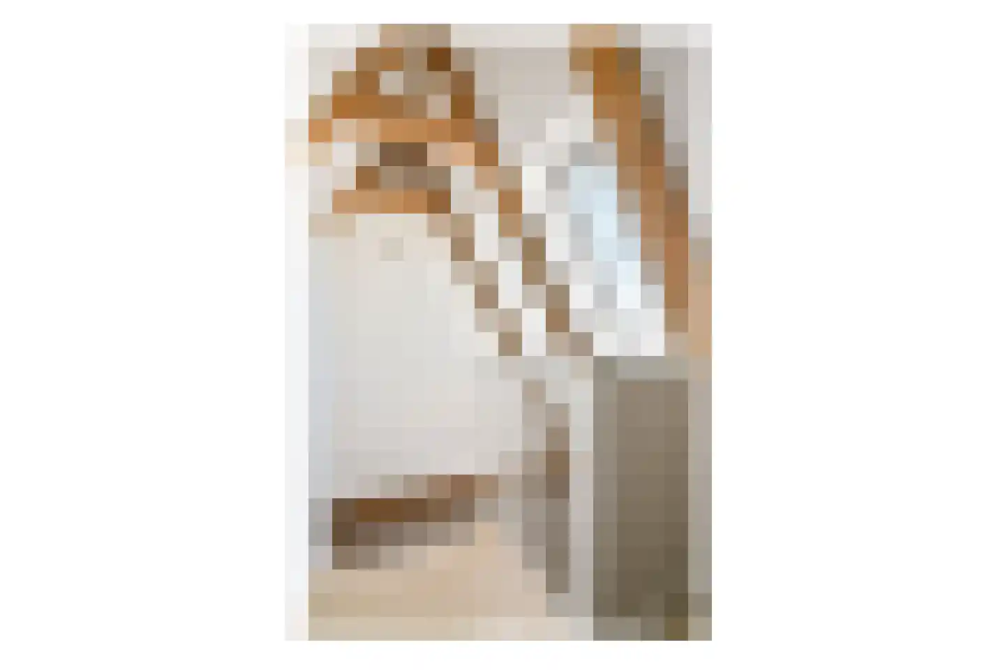 Rapenburg 95 3 Amsterdam thumbnail 22