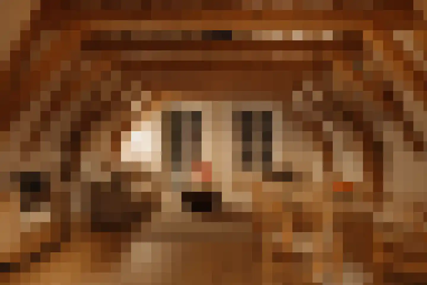 Rapenburg 95 3 Amsterdam thumbnail 31