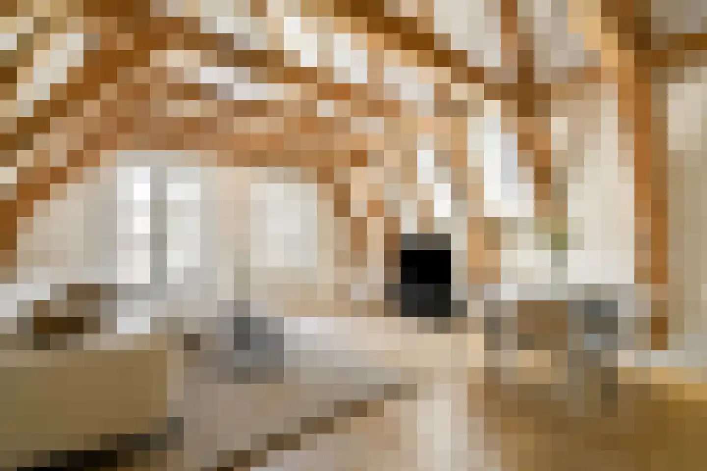 Rapenburg 95 3 Amsterdam thumbnail 4