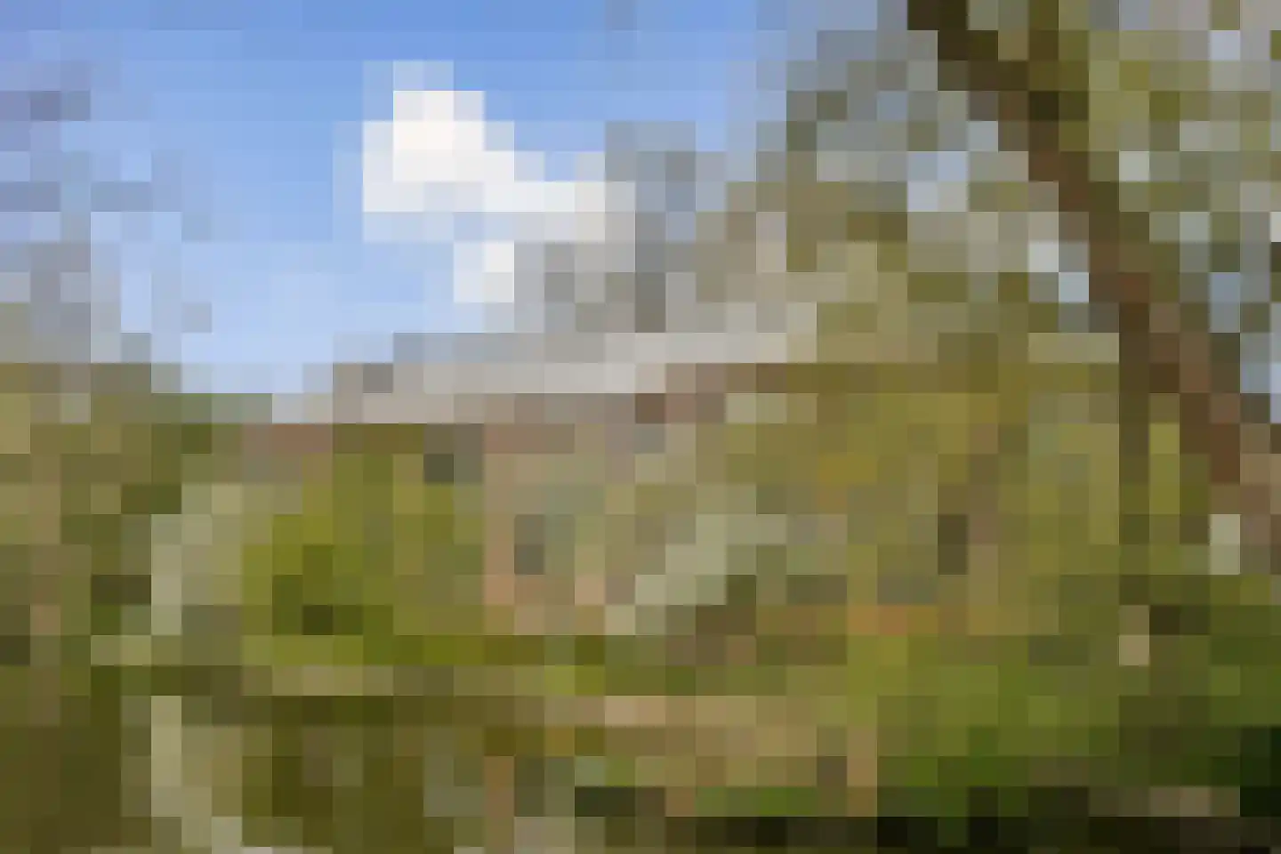 Rapenburg 95 3 Amsterdam thumbnail 41