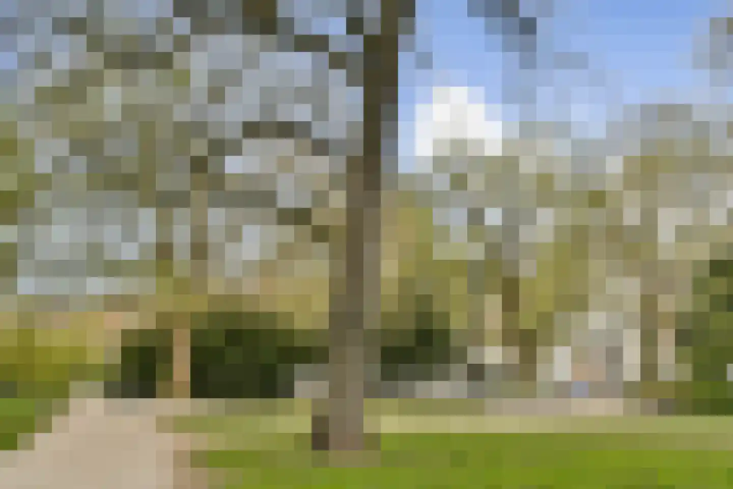 Rapenburg 95 3 Amsterdam thumbnail 44