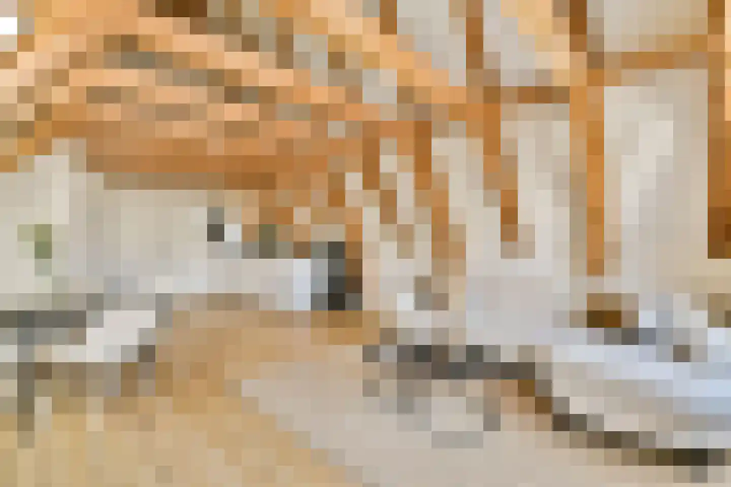 Rapenburg 95 3 Amsterdam thumbnail 6