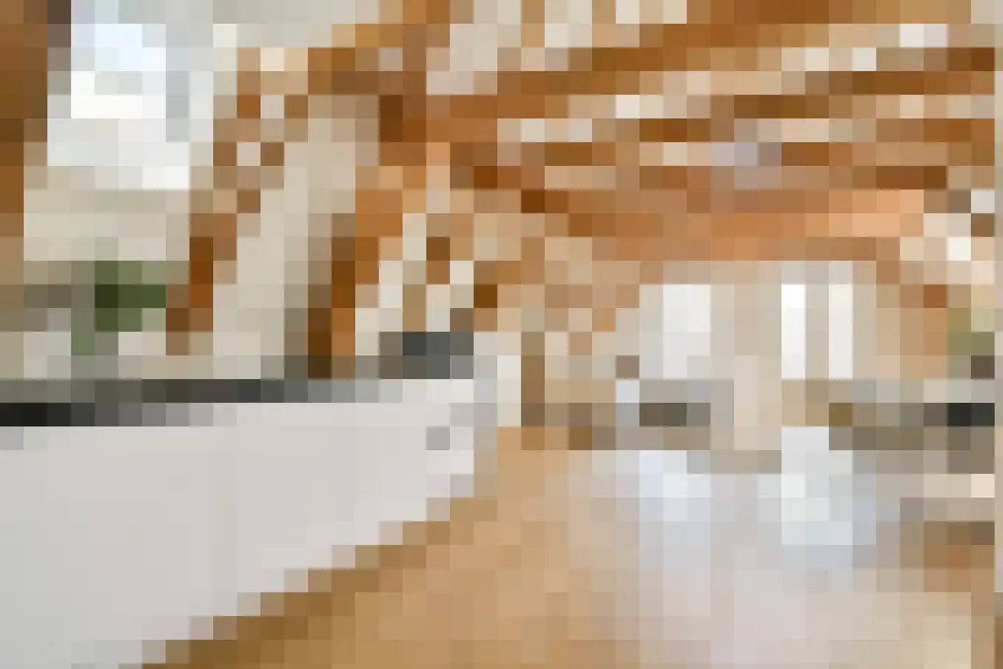Rapenburg 95 3 Amsterdam thumbnail 9