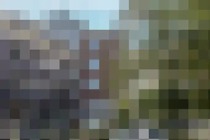 Rapenburgerplein 25 Amsterdam thumbnail 29