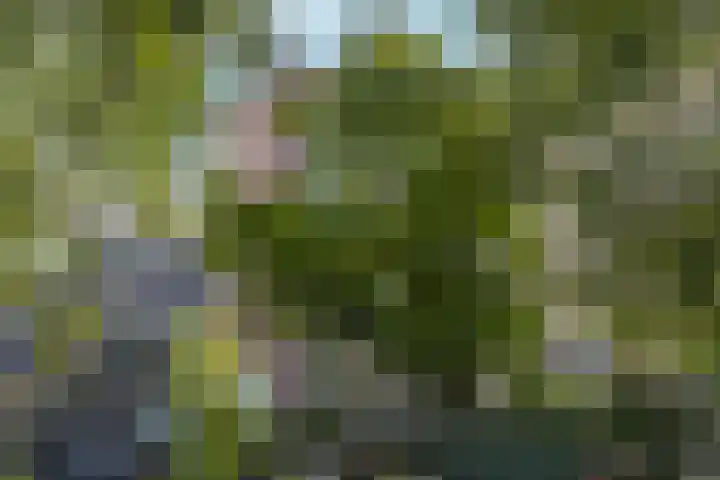 Rapenburgerplein 25 Amsterdam thumbnail 32