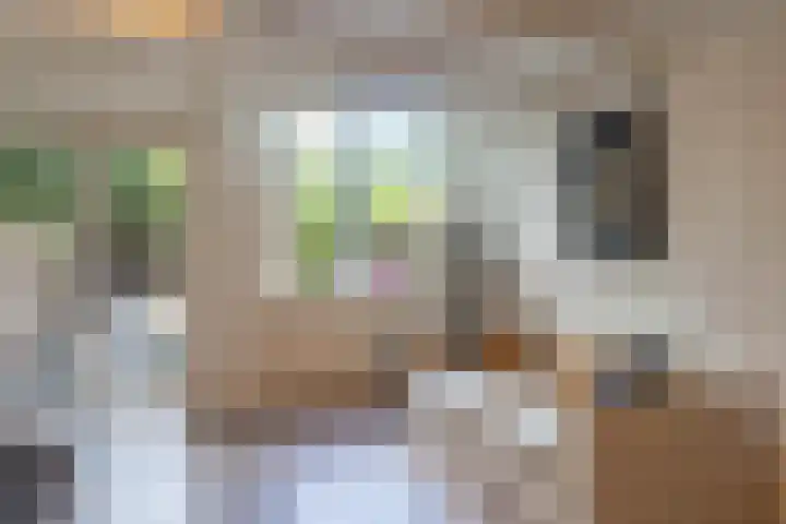 Rapenburgerplein 25 Amsterdam thumbnail 5