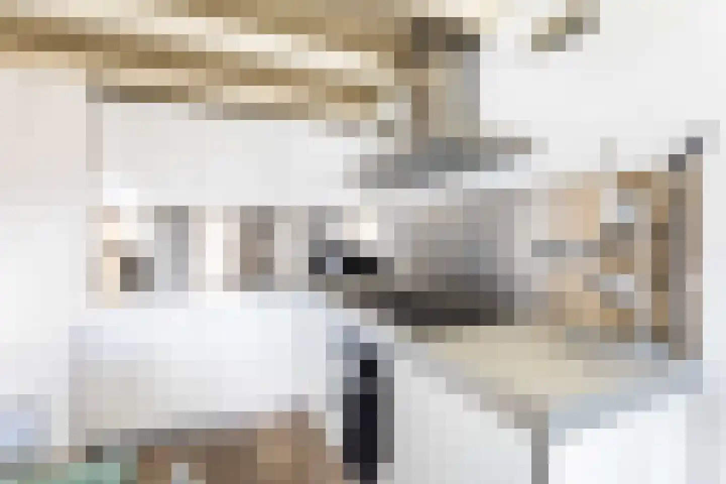 Rapenburgerplein 71 Amsterdam thumbnail 10