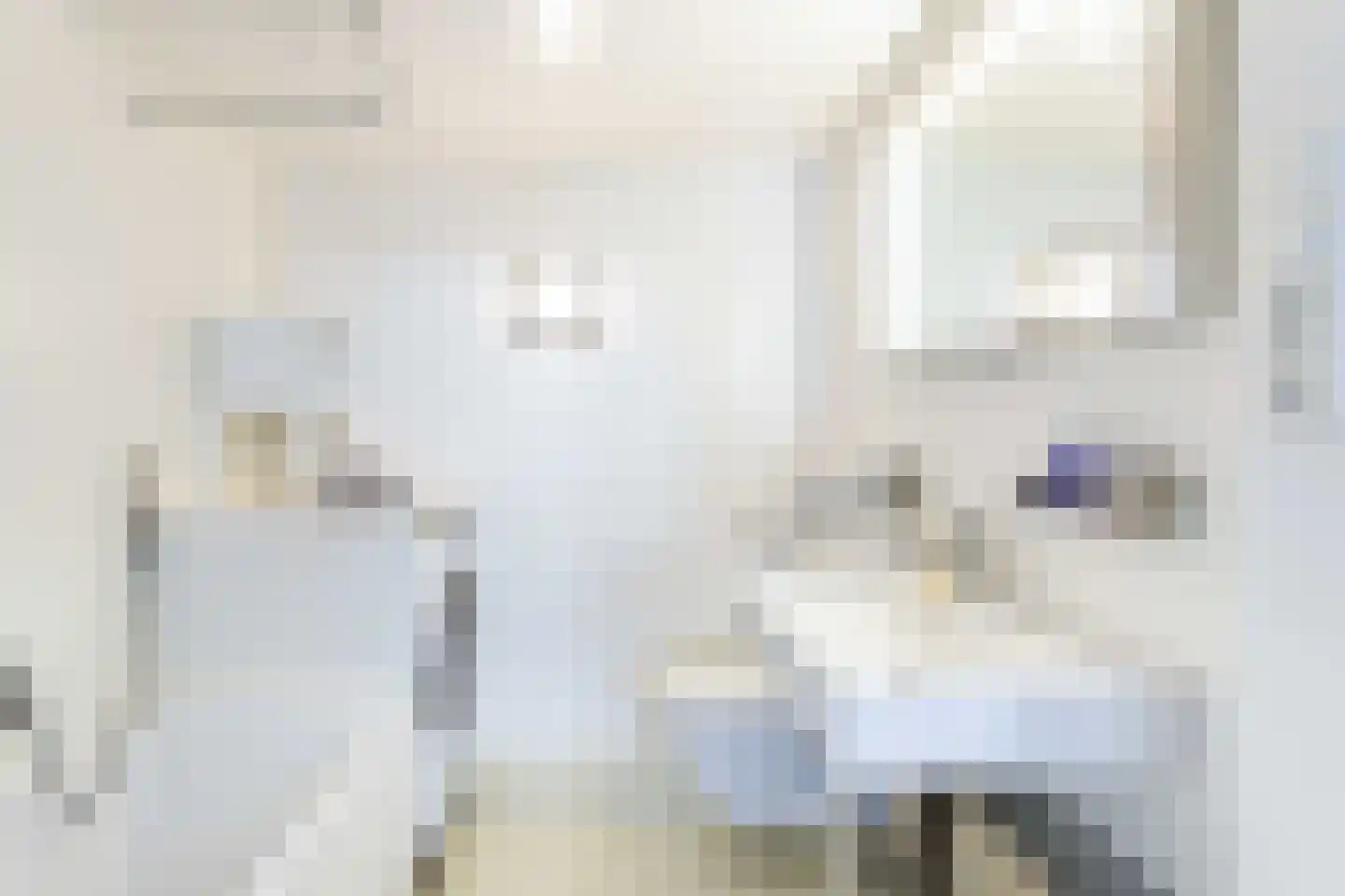Rapenburgerplein 71 Amsterdam thumbnail 12