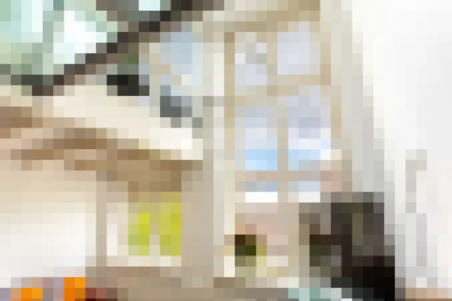 Rapenburgerplein 71 Amsterdam thumbnail 19